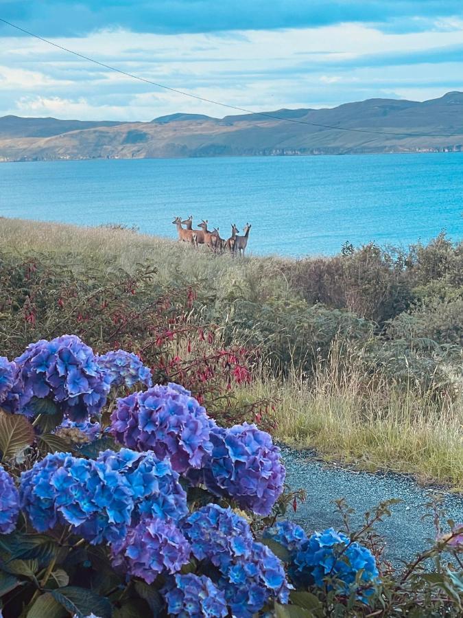 The Rowanberry Suite At Rowan Cottage Elgol Екстериор снимка
